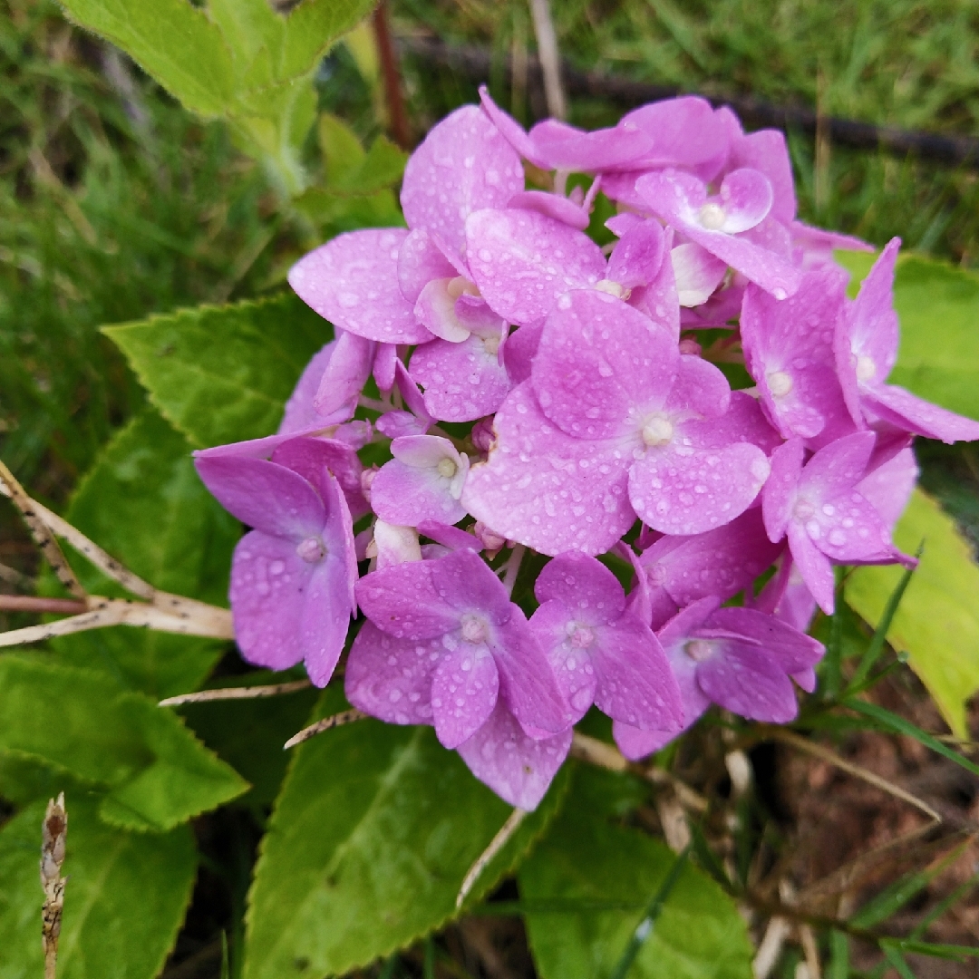 时尚范爱剁手49