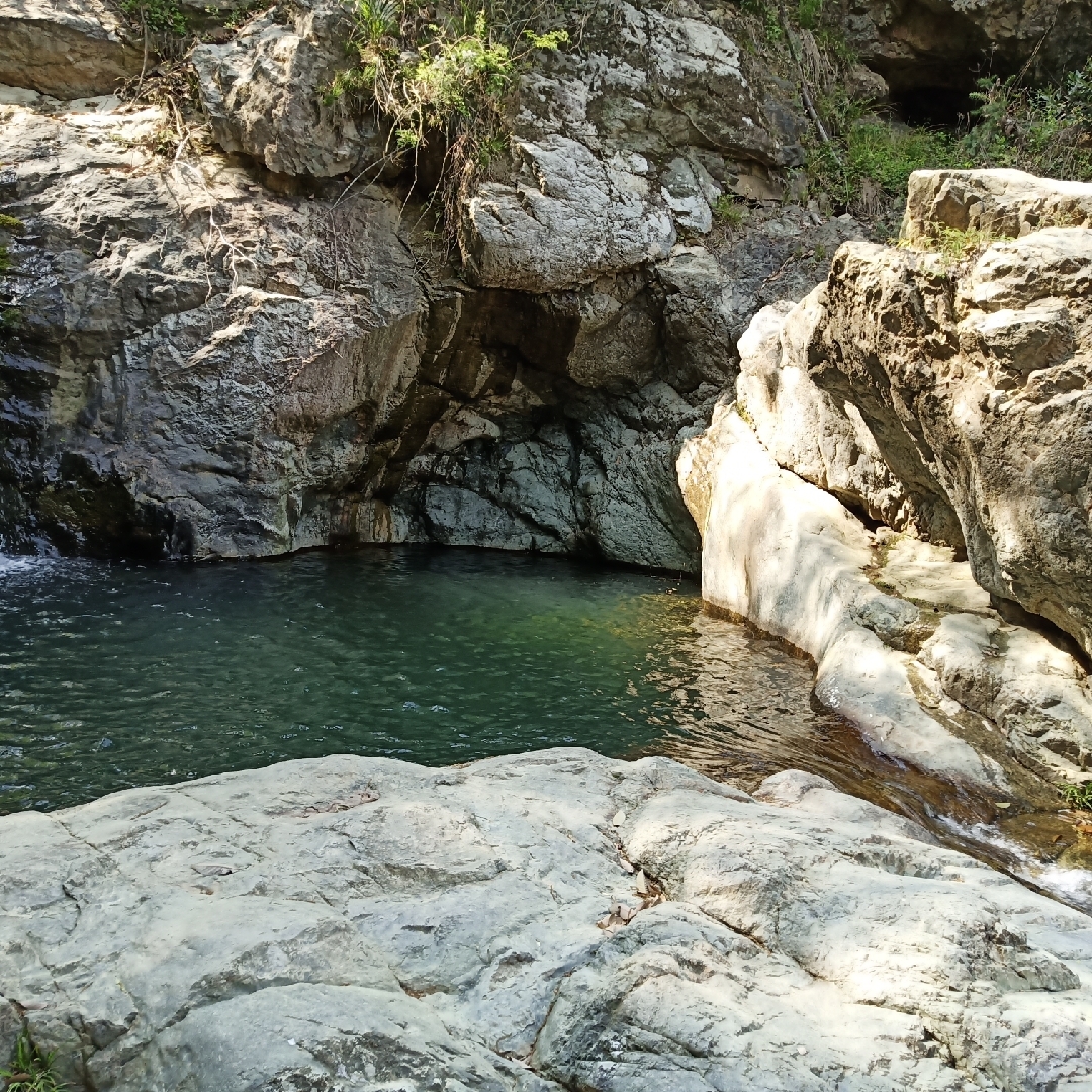 田园生活斗志强