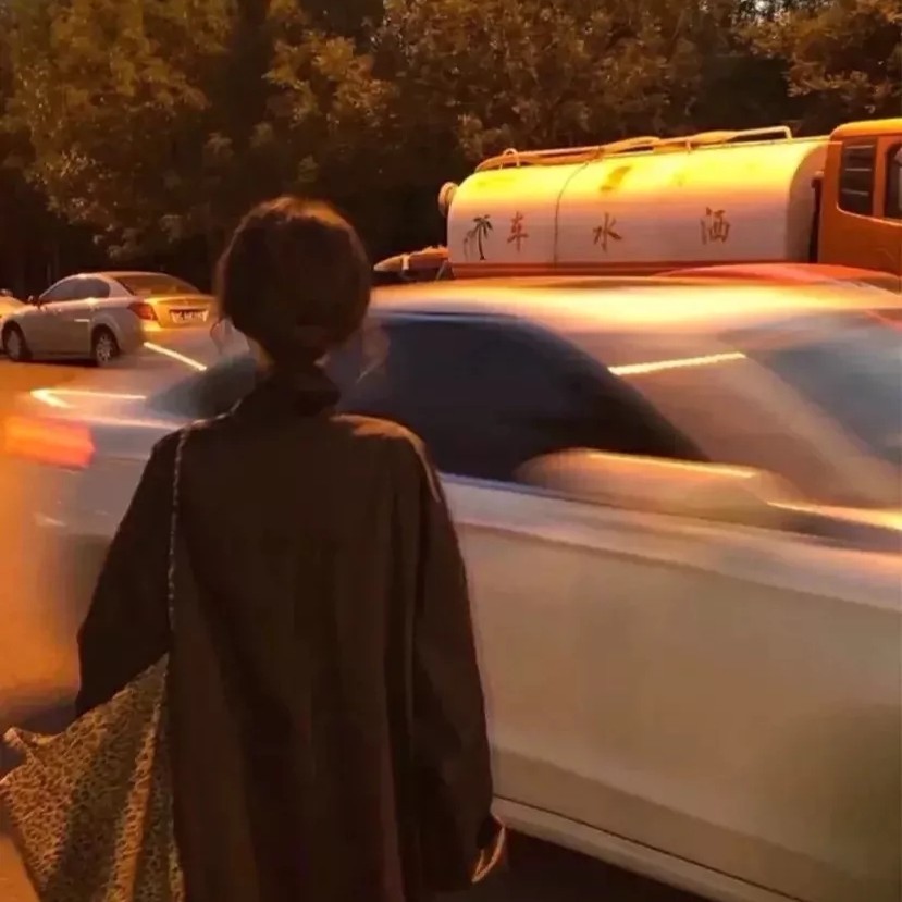 爱吃焦香排骨的幽风