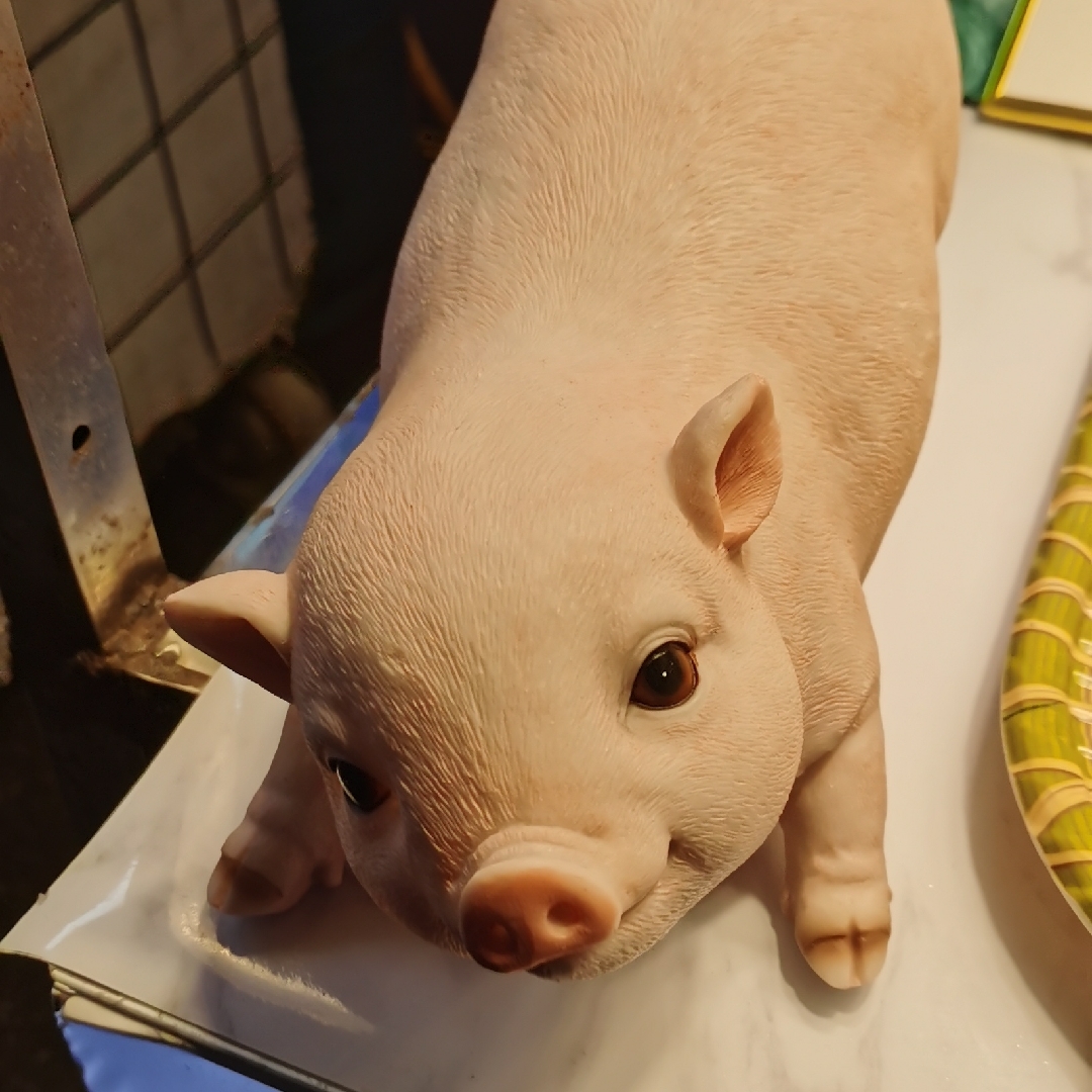 别让生活负重前行1588