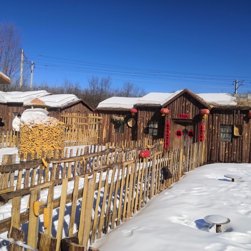 爱吃什锦罐头的桑葚