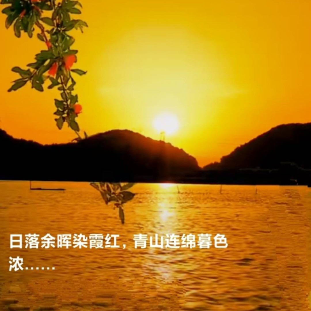 橙黄色的甜桔柚92