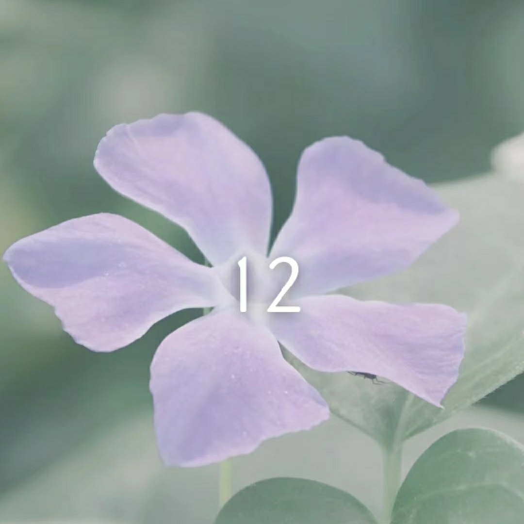 12陶桂林园园152