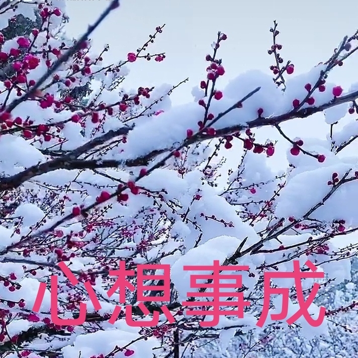 心想事成