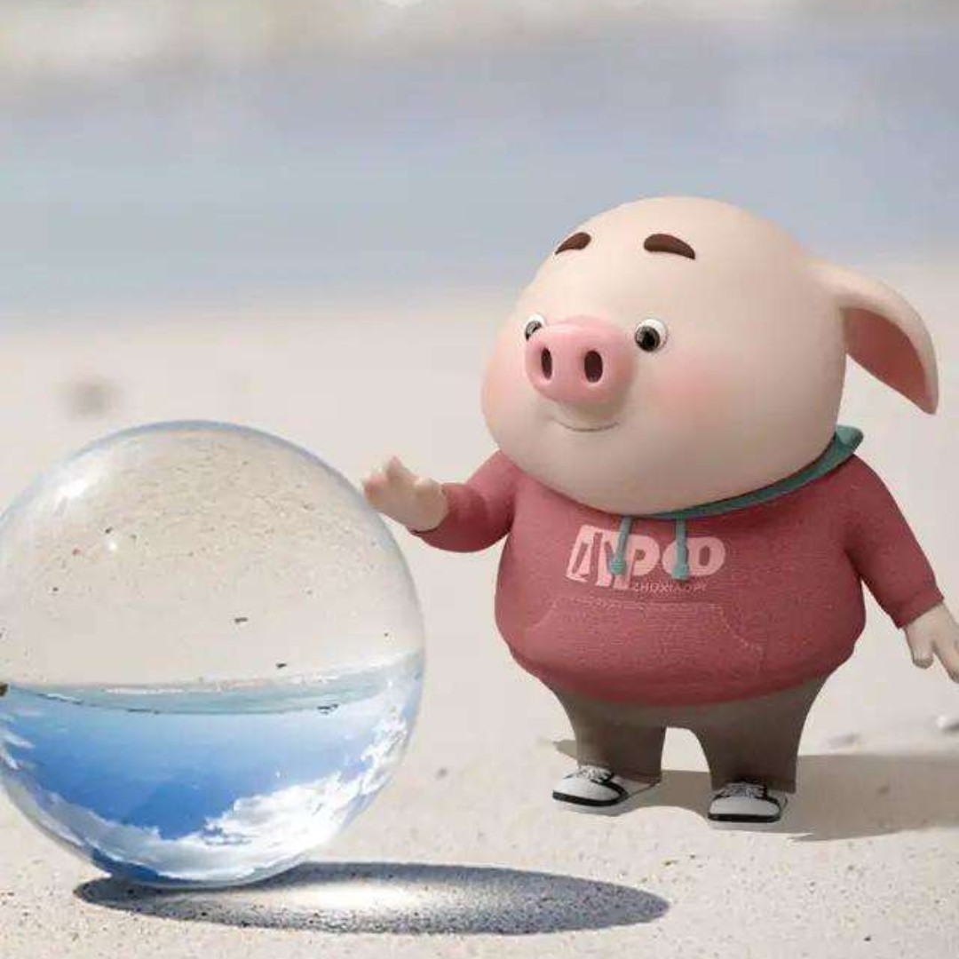 五星好评有点美