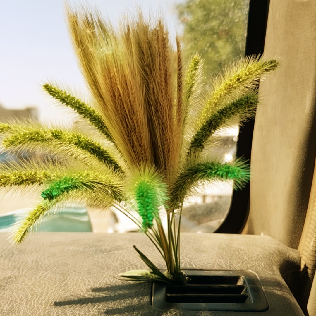 宿晴大美女88555