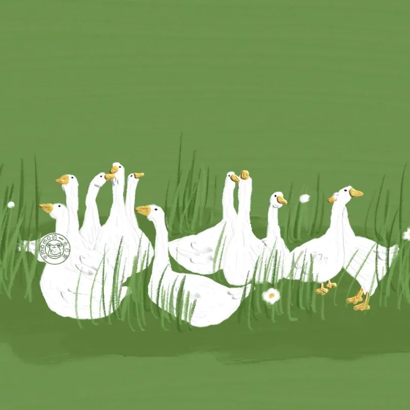 冬天会有大太阳