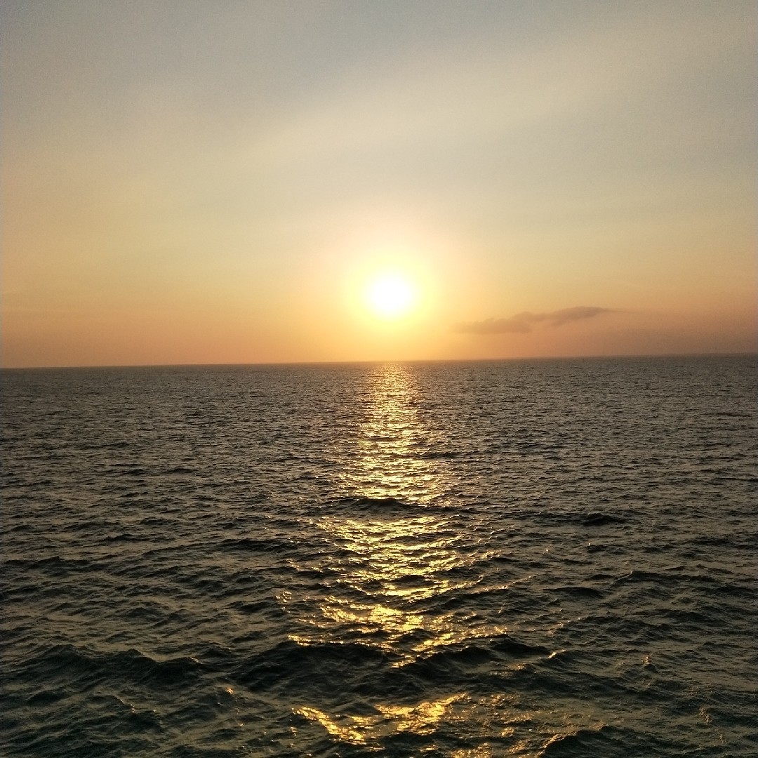 在这里，找我想要的