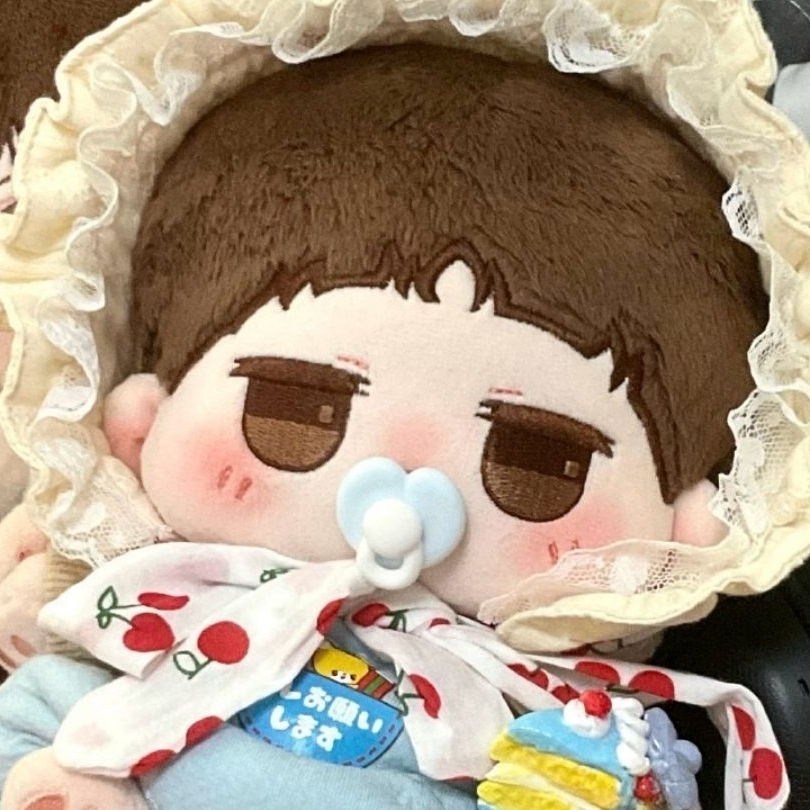 爱吃三味汤圆的白鸽