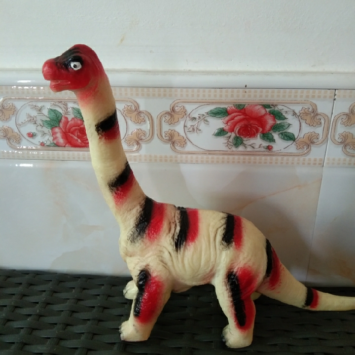 爱吃彩椒的追梦人