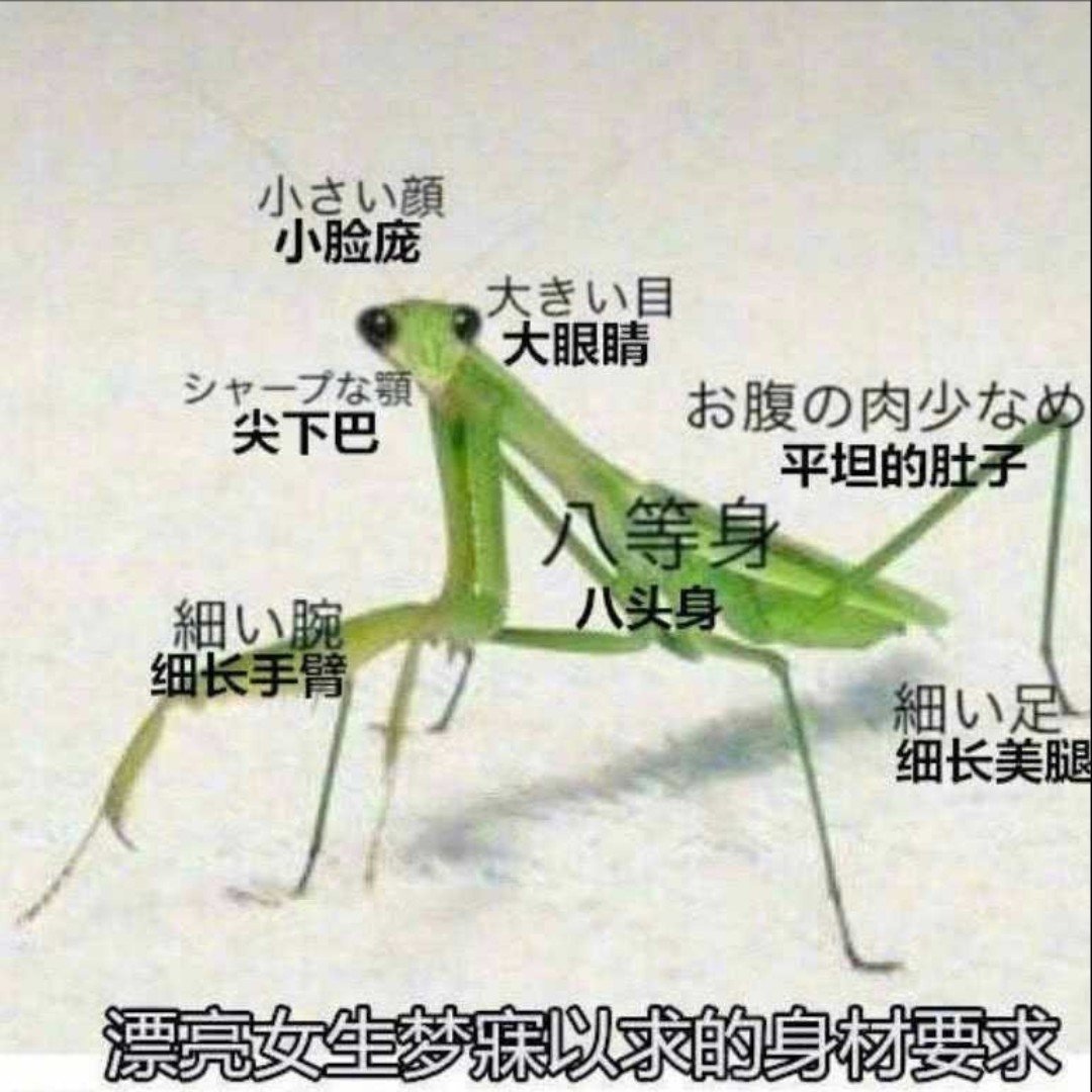 鄭在銹