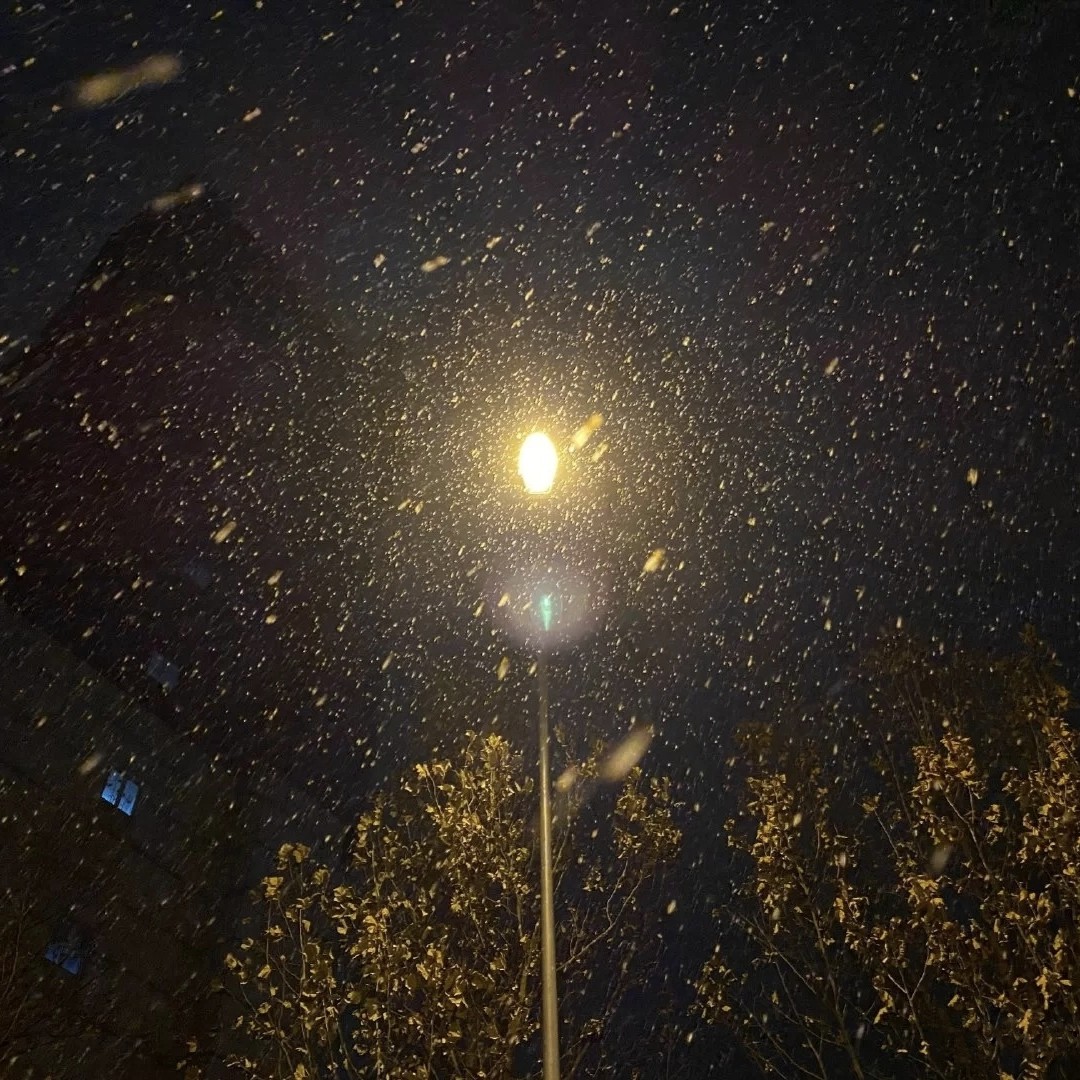 长乐坊忙碌的麦芽