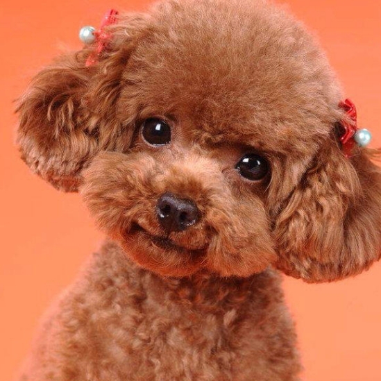 我家宝呀呀m(__)m