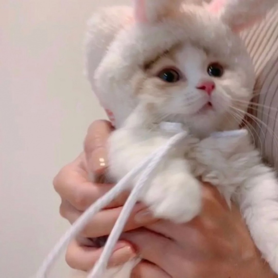 婷婷小宝贝儿吖