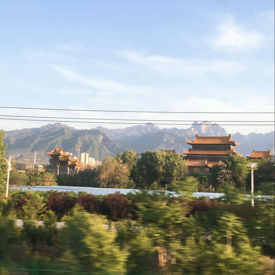 绿色生命托起希望