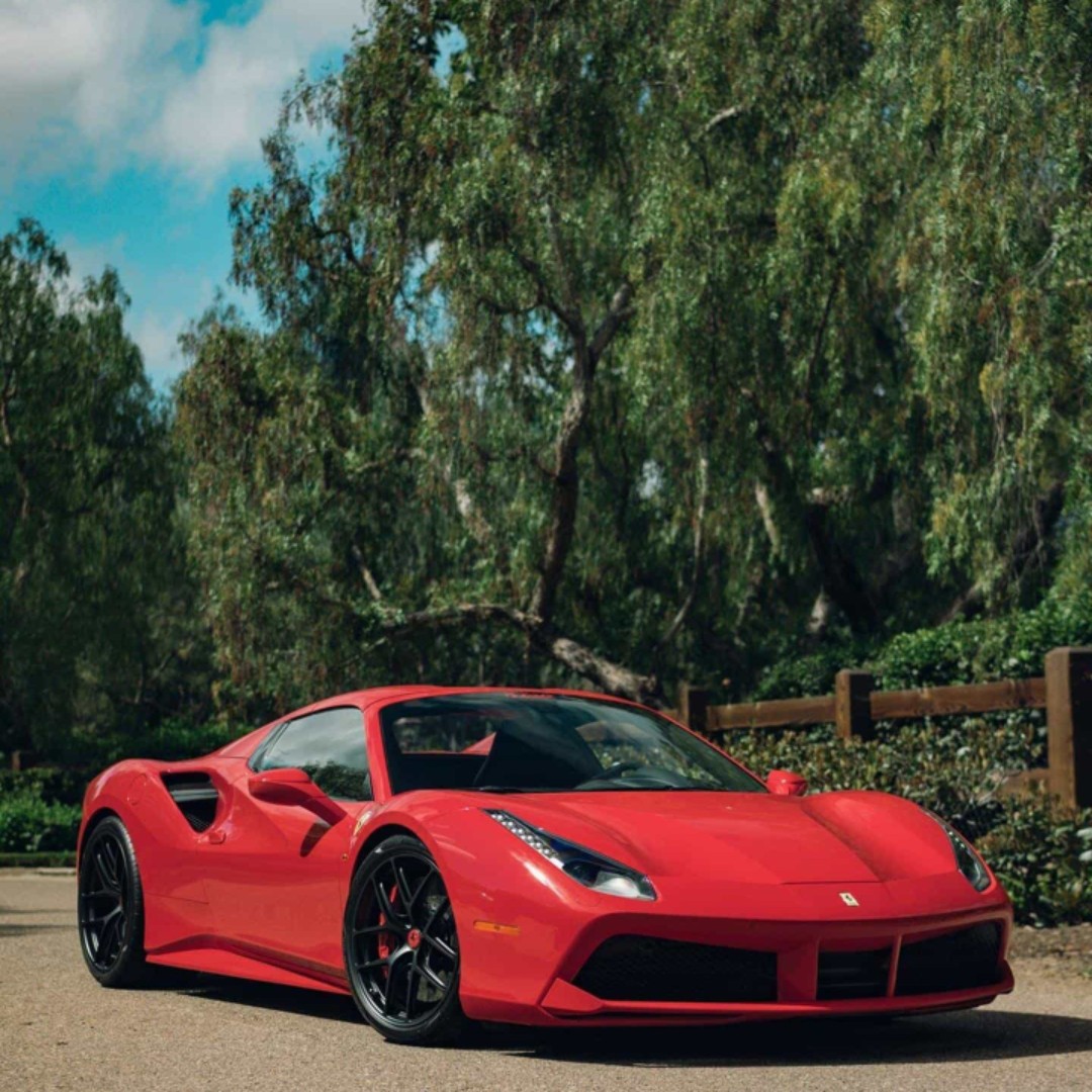 天天坚持到底哒哒哒