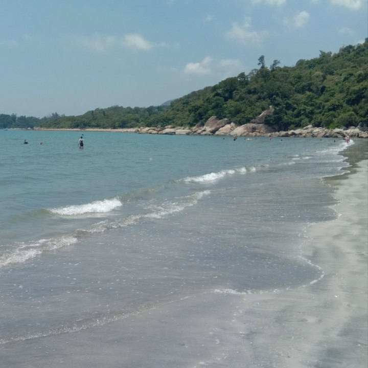 爱吃三丝鱼卷的追梦人