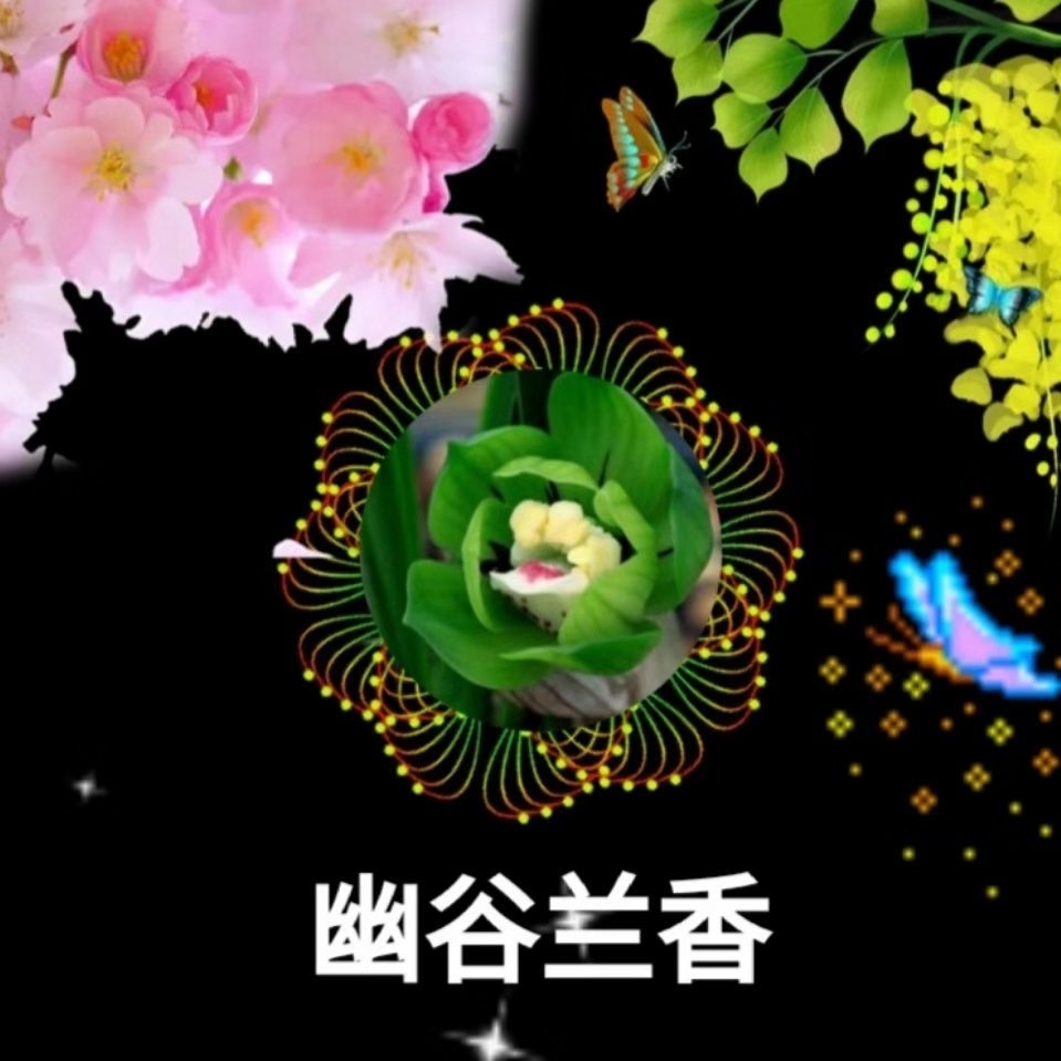 掏空钱包才停手