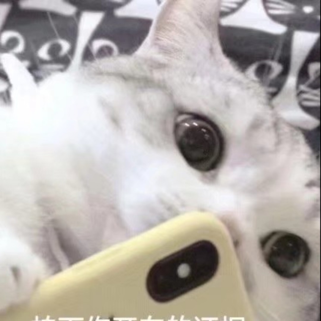 爱吃烤肉的滴滴