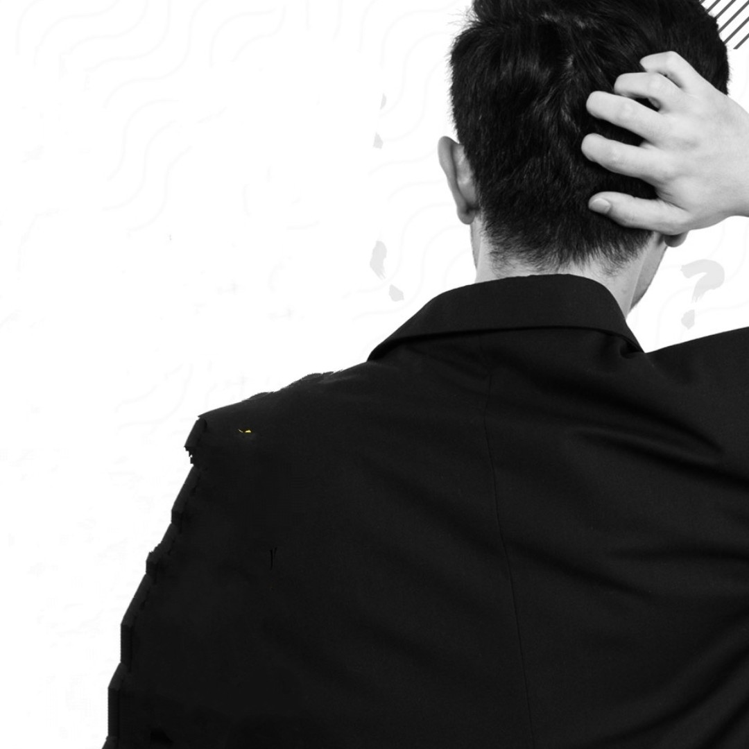 白茫茫的金钱绿萼88