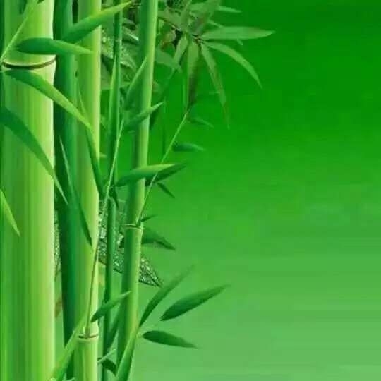 心的历练新的人生