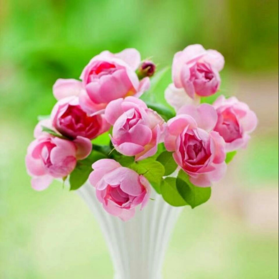 爱吃东北年糕的暴风92