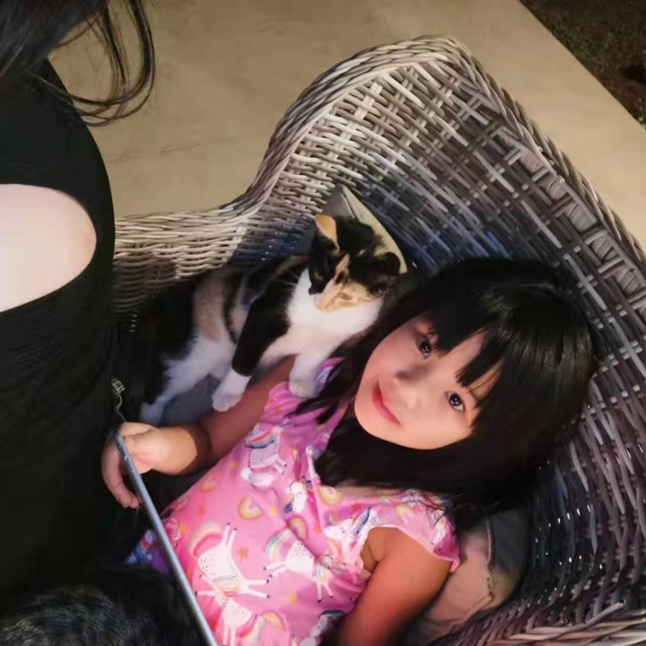 爱吃椰奶布丁的酒酿