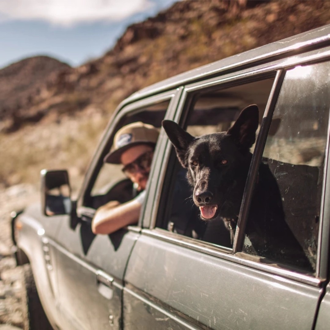 齐得隆咚强大手笔