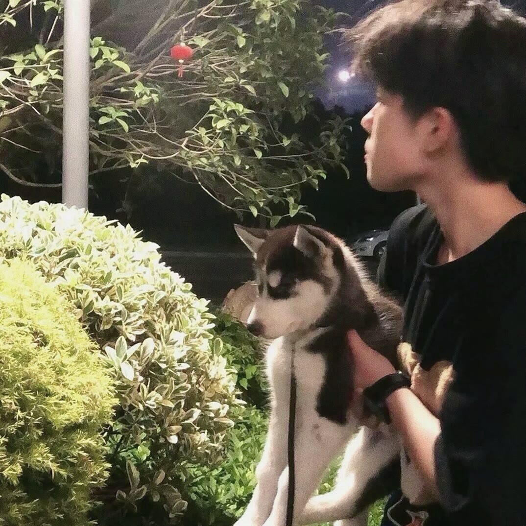 爱吃福州鱼丸的小法师