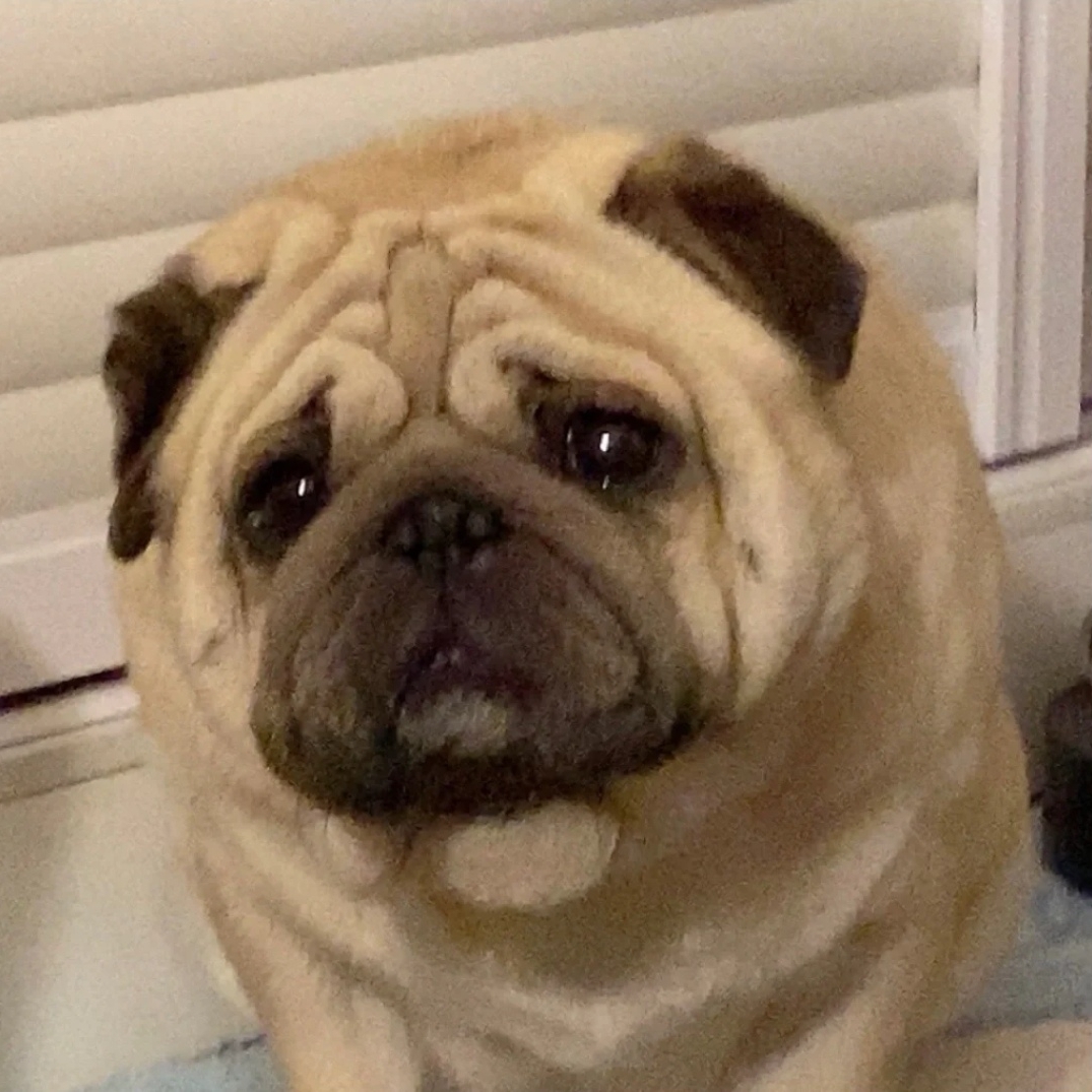 滑马他是天子啊