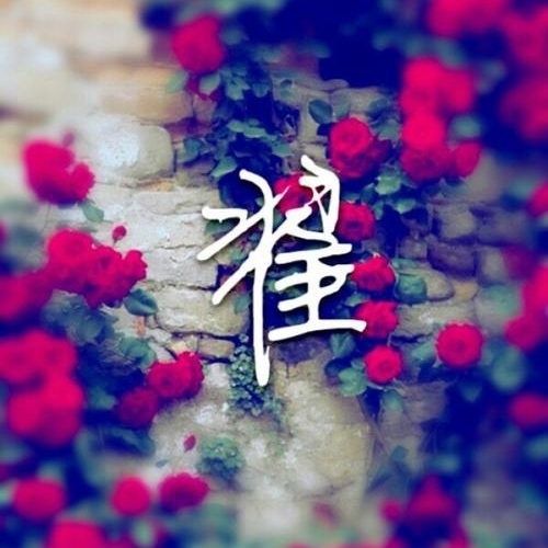 爱吃三丁拌饭的三更