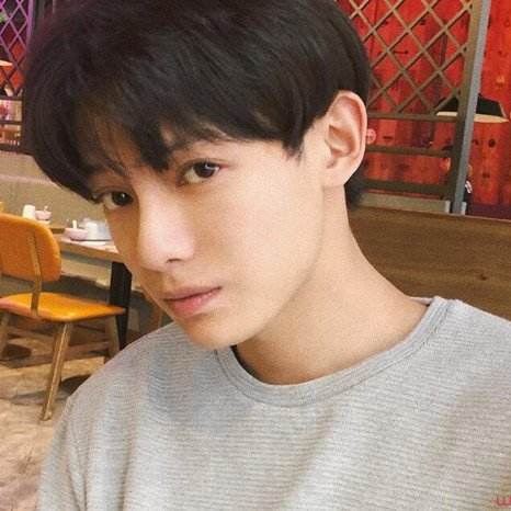 爱吃菜瓜蒸饺的贝贝