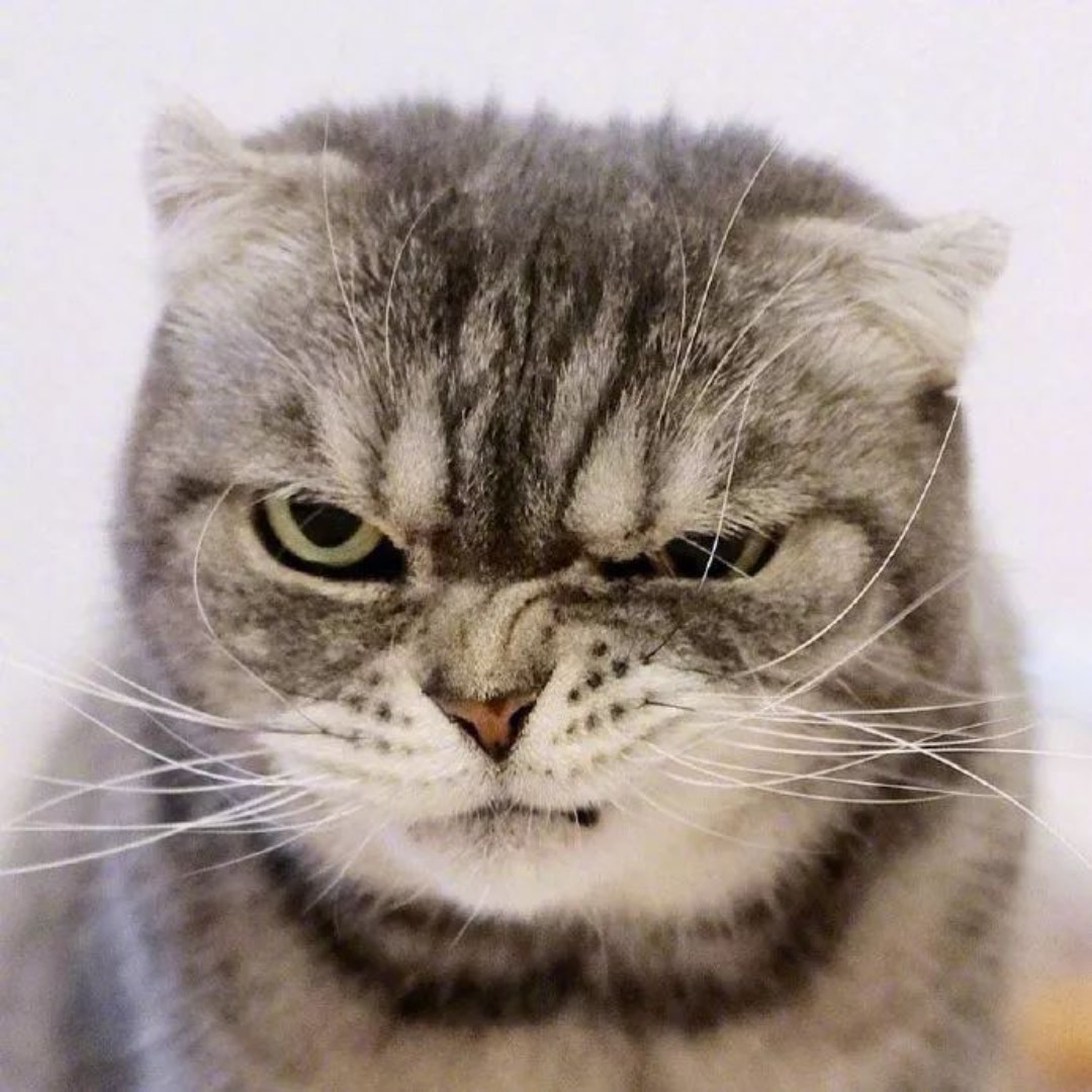 蜡笔小新的夏天