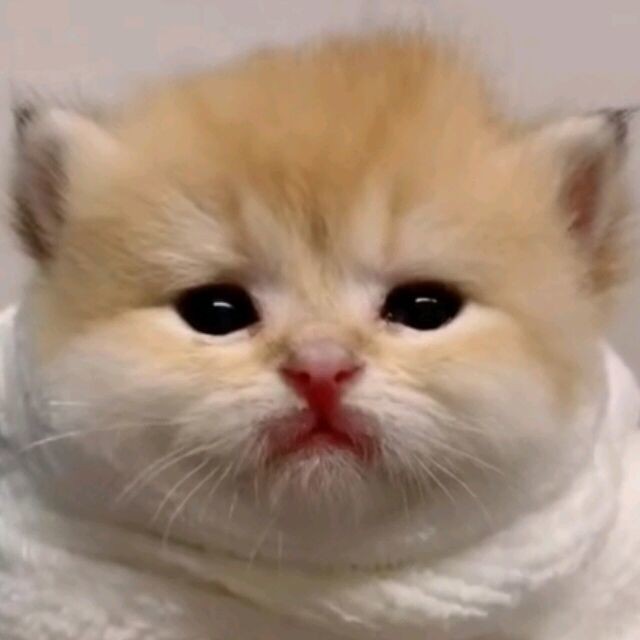 兴隆大街的火车