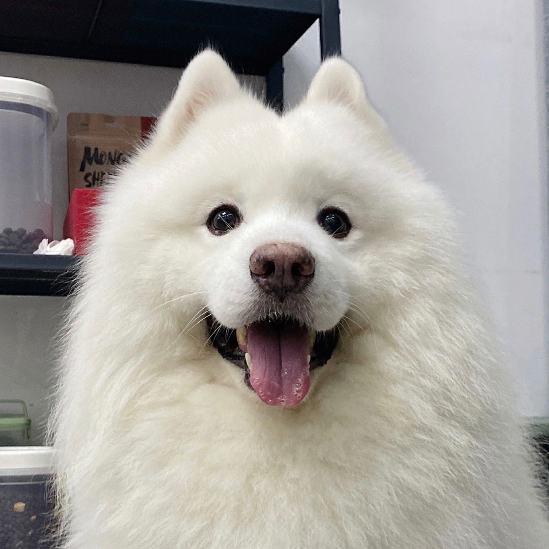 落日沉溺于橘色的海