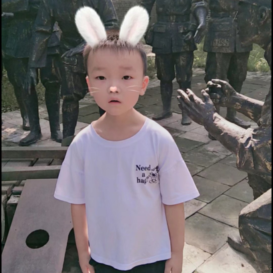 爱吃冰糖鸡蛋的慕斯