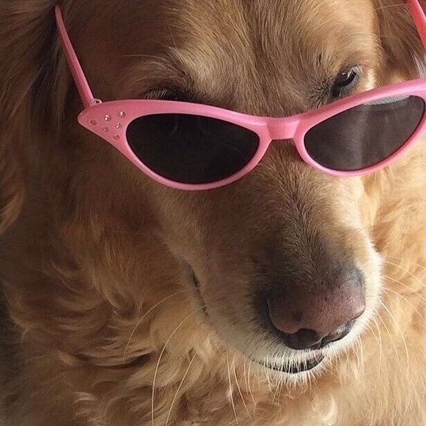 爱打人的黄依依