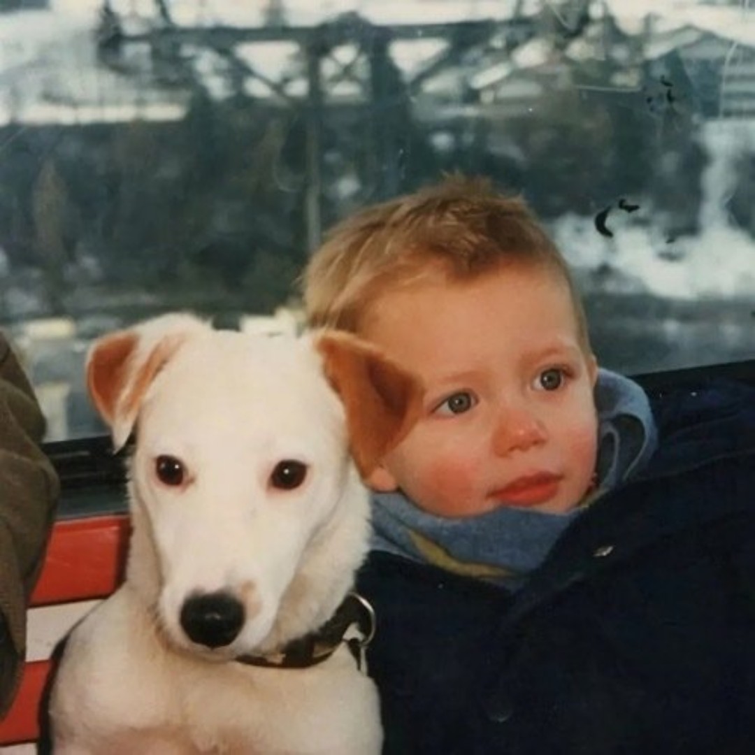 爱吃晒红薯干的日光