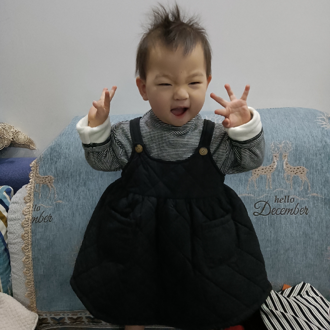 鲜黄的艾梨木虱