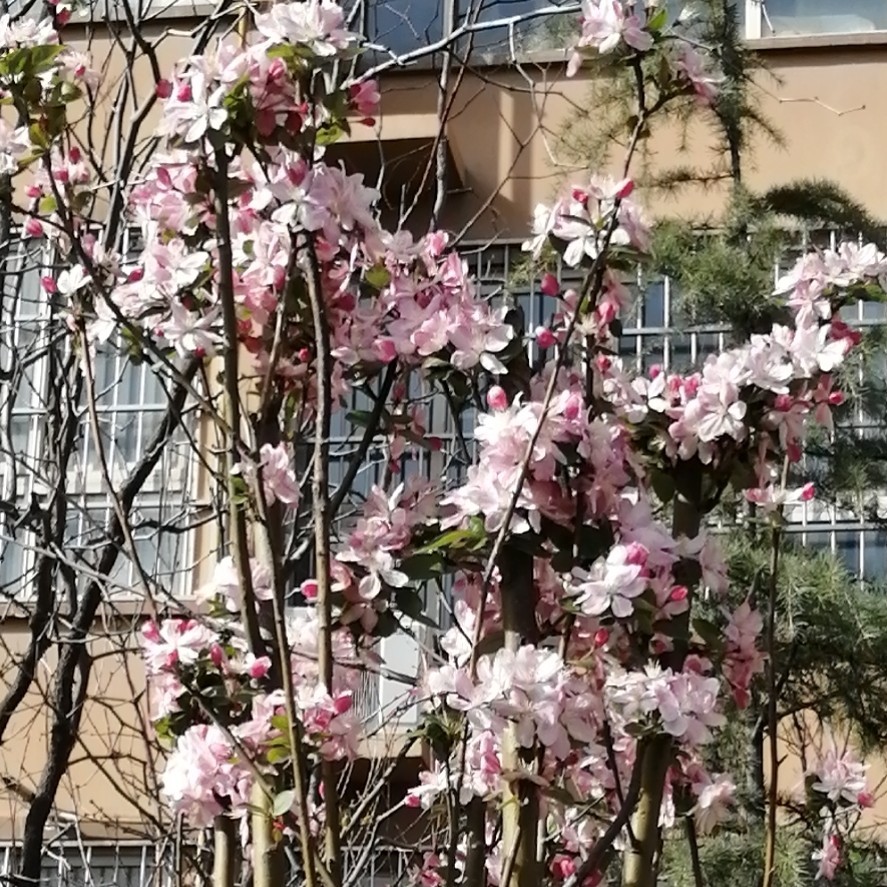 开心快乐每一天