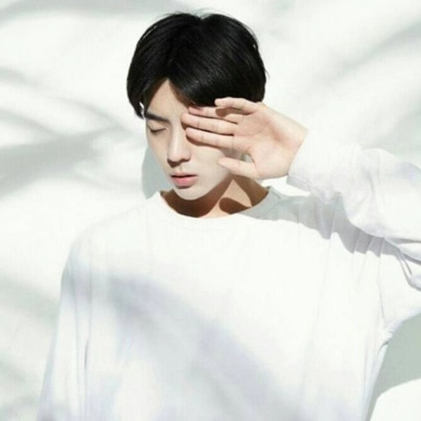 爱吃金鈎豆腐的小树