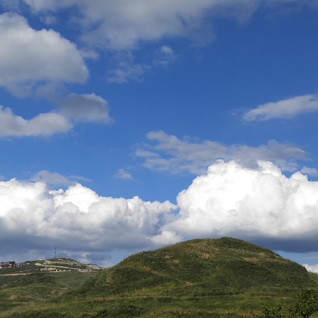 爱吃桂花糖浆的糖浆