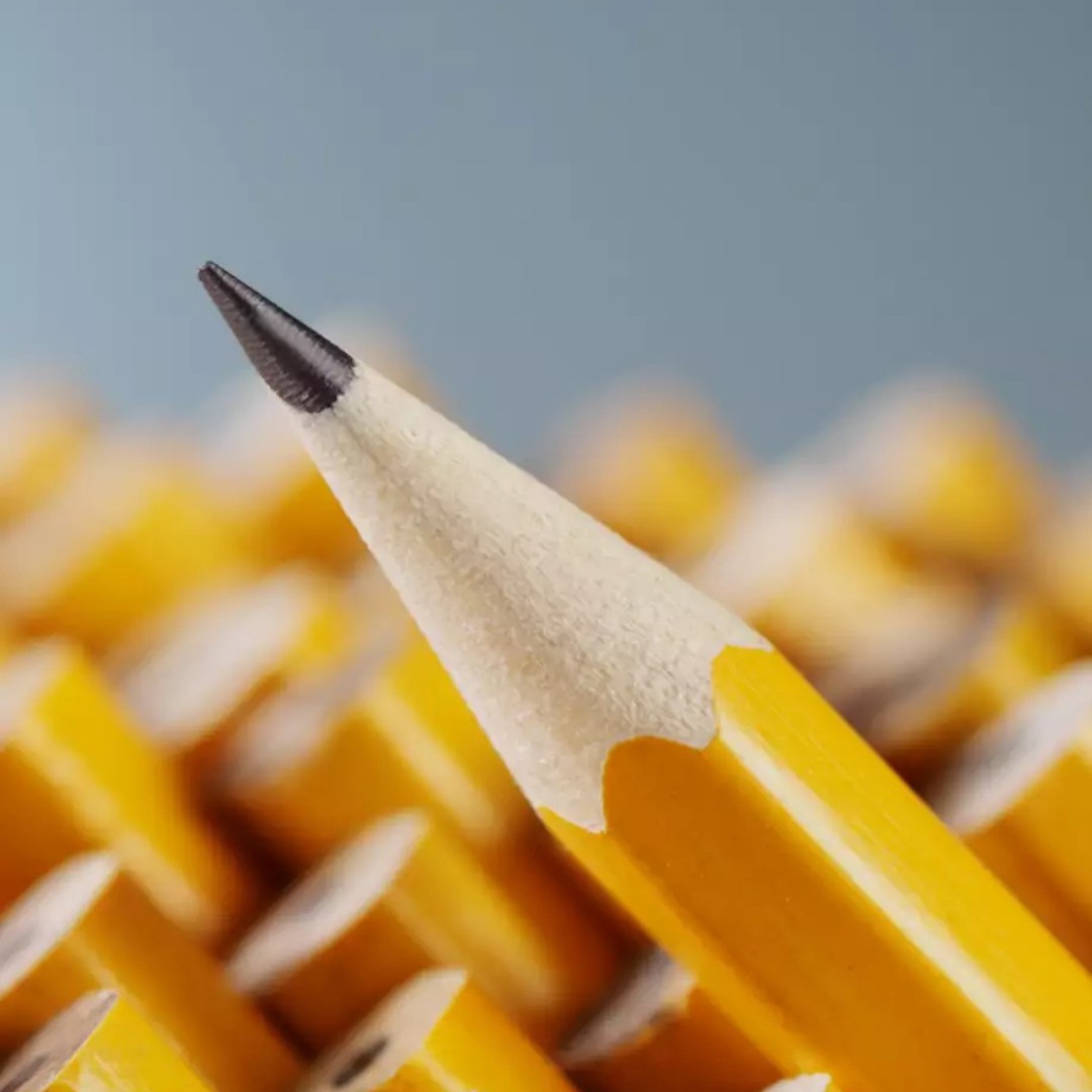 爱吃三冬火腿的刺猬