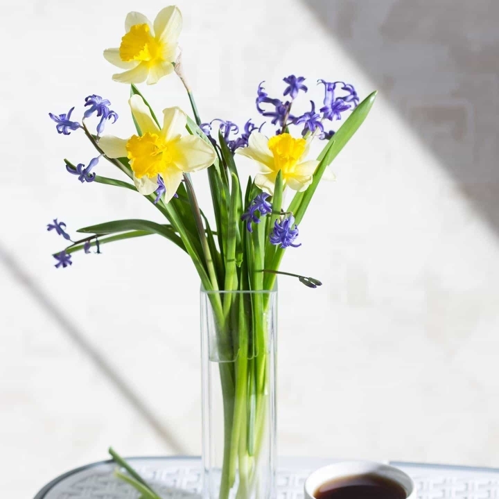 金米金豆臭宝贝