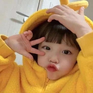 155本白色的乌柏