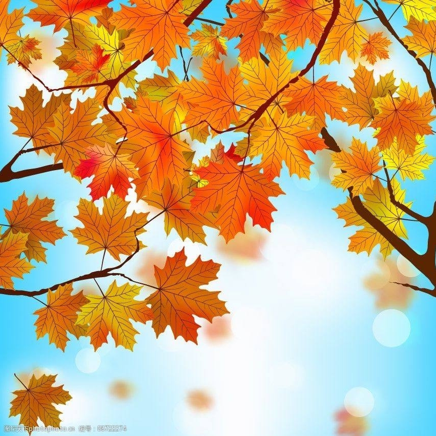 深秋的思恋会冷啊