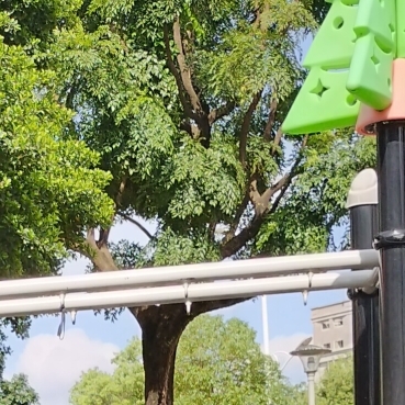 爱吃糖水山楂的小福贵