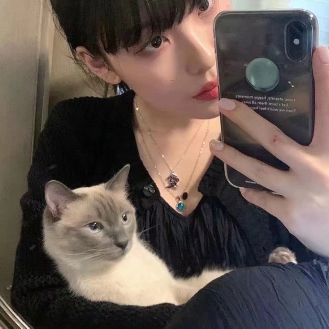 甜橘味的洛毅毅