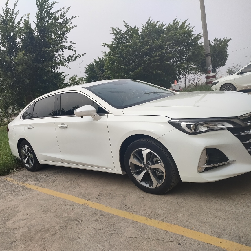 TB_藤县瓷砖批发