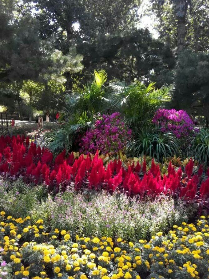 新手涛宝去笑呵呵